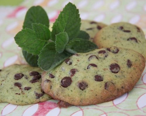 Cookies A La Menthe Fraiche Et Aux Pepites De Chocolat Les Petits Plats De Patchouka