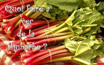 quoi faire avec de la rhubarbe index de recettes