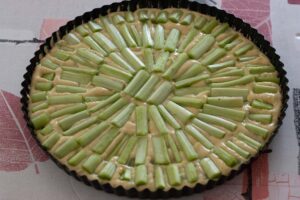 Gâteau rhubarbe en soleil 1