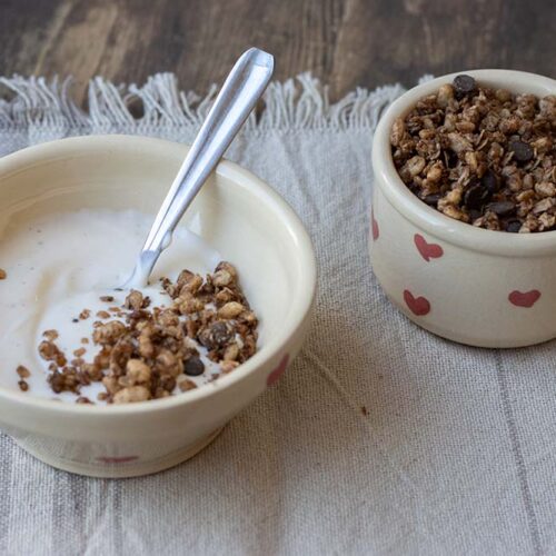 Granola cacao (facile et rapide)