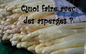 quoi faire avec des asperges index de recettes